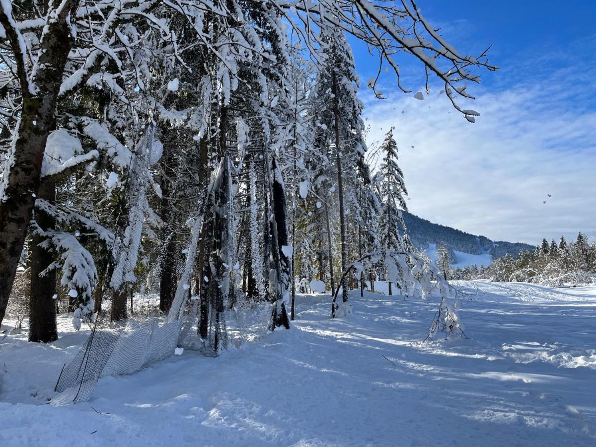 Apartma Anastasija ครานสกา โกรา ภายนอก รูปภาพ