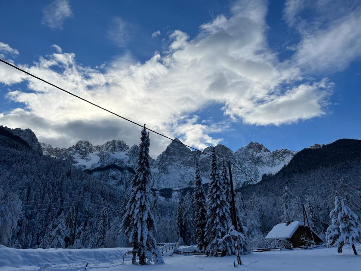 Apartma Anastasija ครานสกา โกรา ภายนอก รูปภาพ